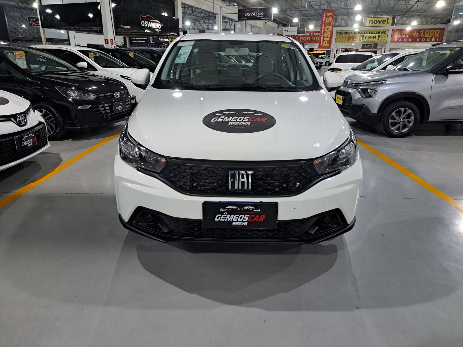 FIAT argo 1.0 firefly flex drive manual