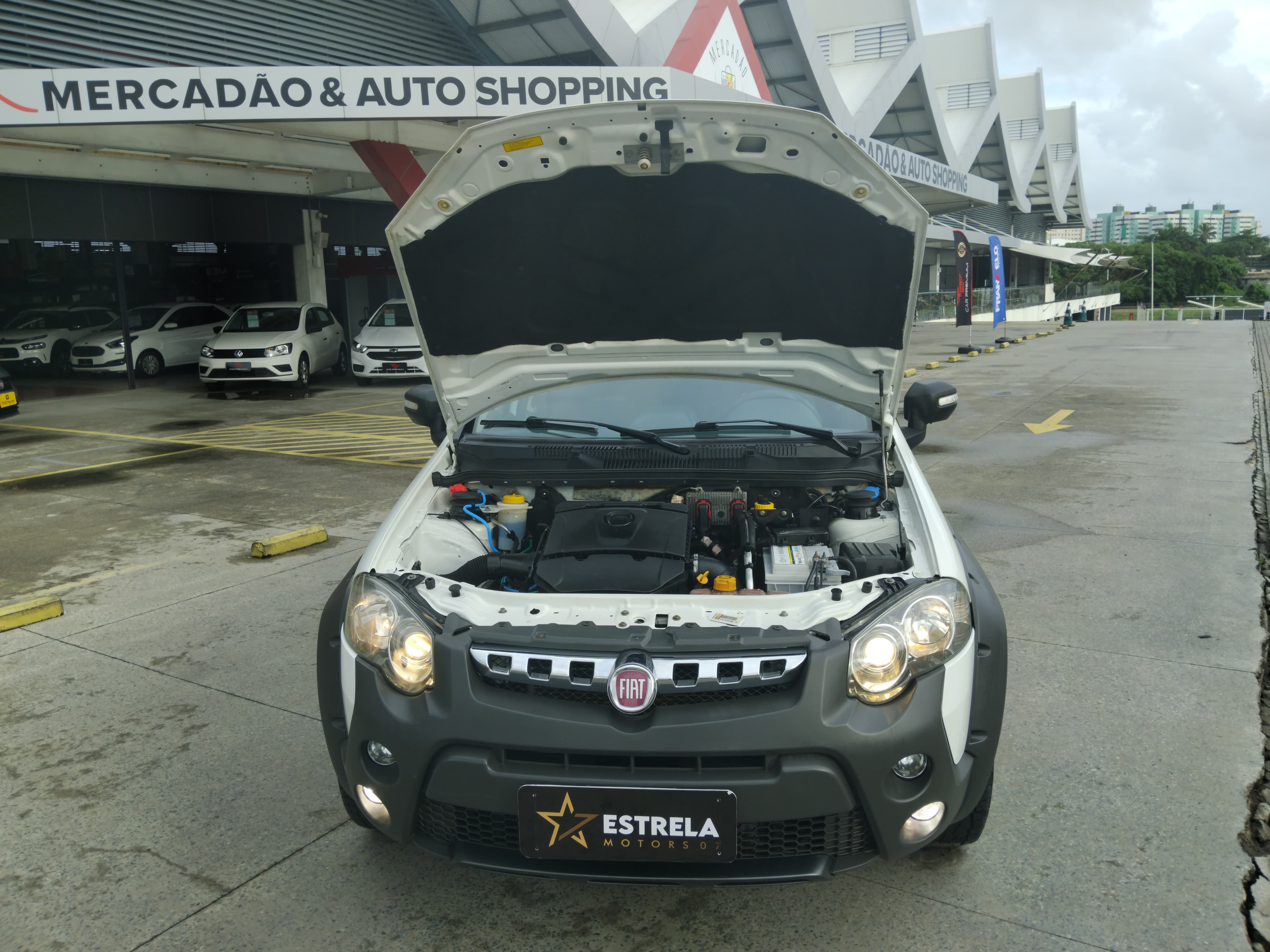 FIAT palio wk adven flex