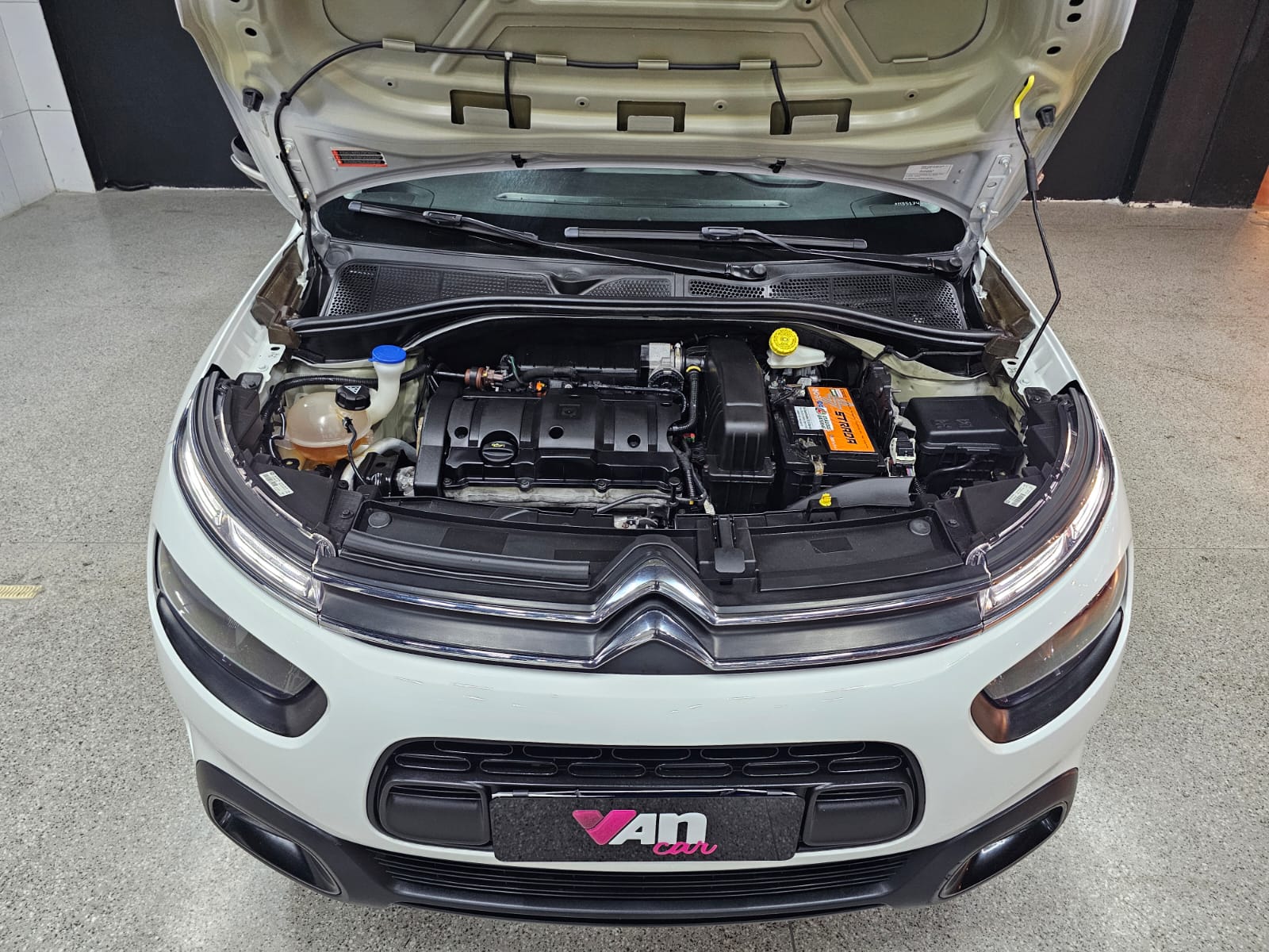 CITROËN c4 cactus feel at